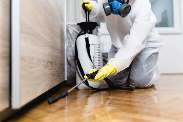 Best Best Pest Control Companies  in Meyersdale, PA