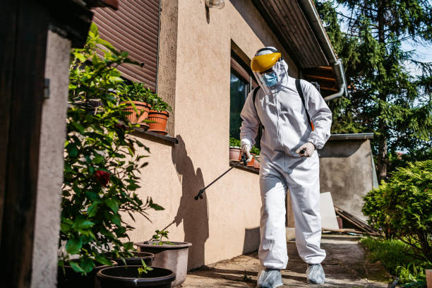 Best Residential Pest Control  in Meyersdale, PA