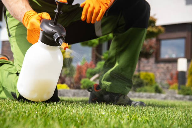Best Spider Control Near Me  in Meyersdale, PA