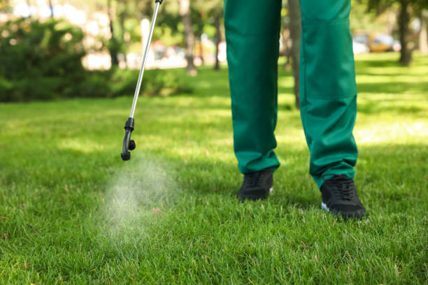 Best Best Pest Control Companies  in Meyersdale, PA