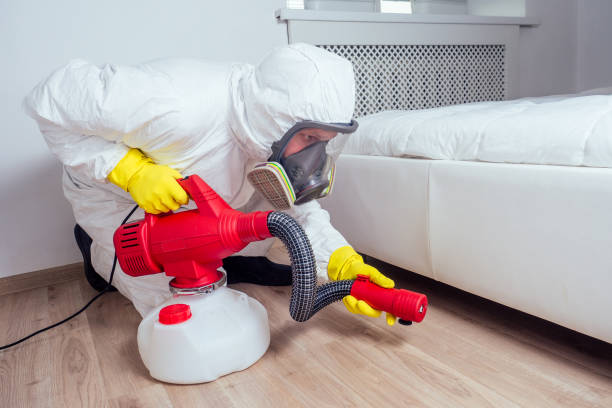 Wasp Removal Services in Meyersdale, PA